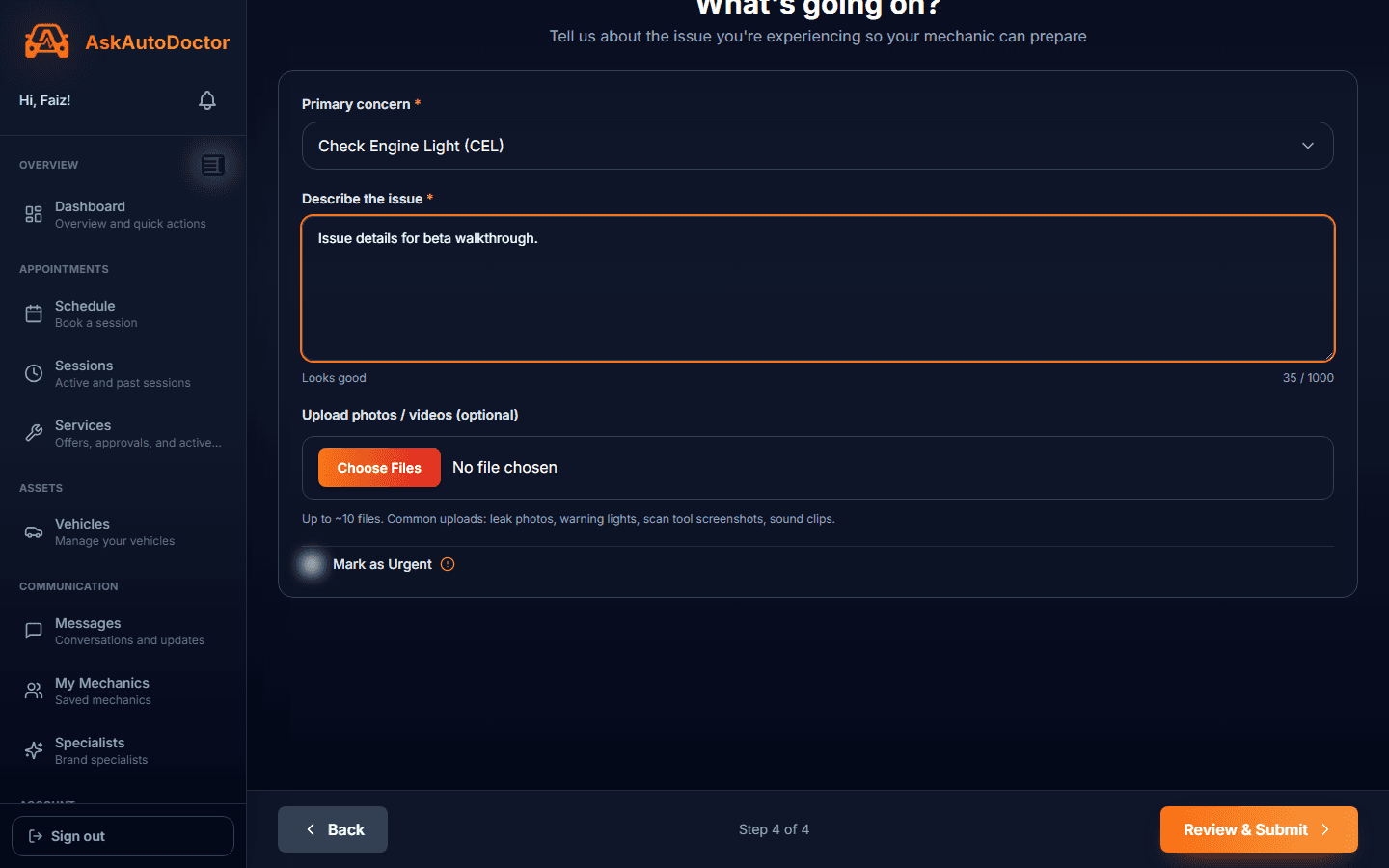 Concern description step
